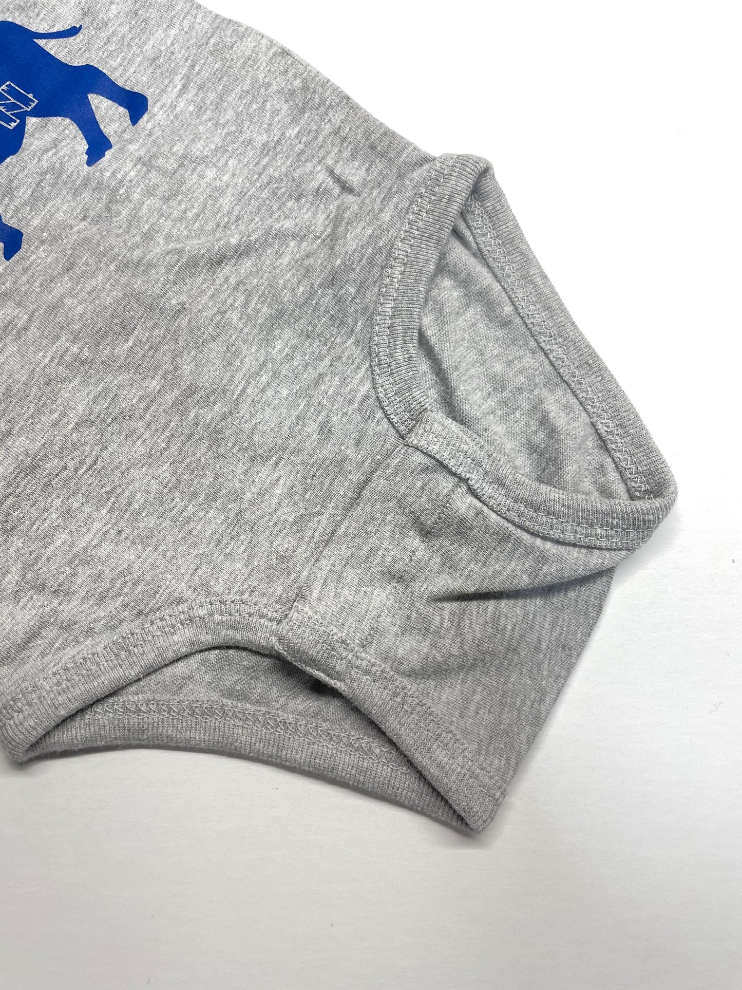 Buffalo NY Grey Blue Raglan Bodysuit Locally Grown