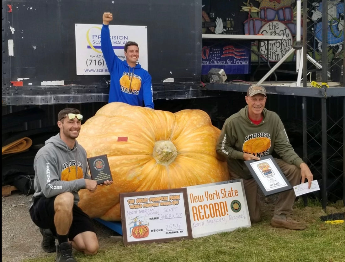 North America's Largest Pumpkin!