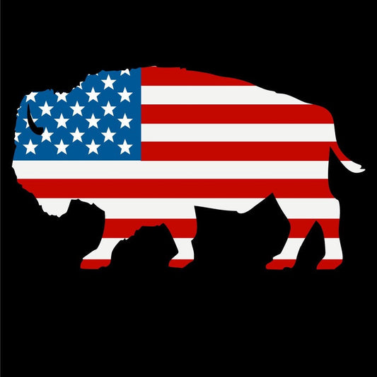 Buffalo NY USA American Flag vinyl decal sticker